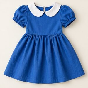 Royal Blue Collar Dress